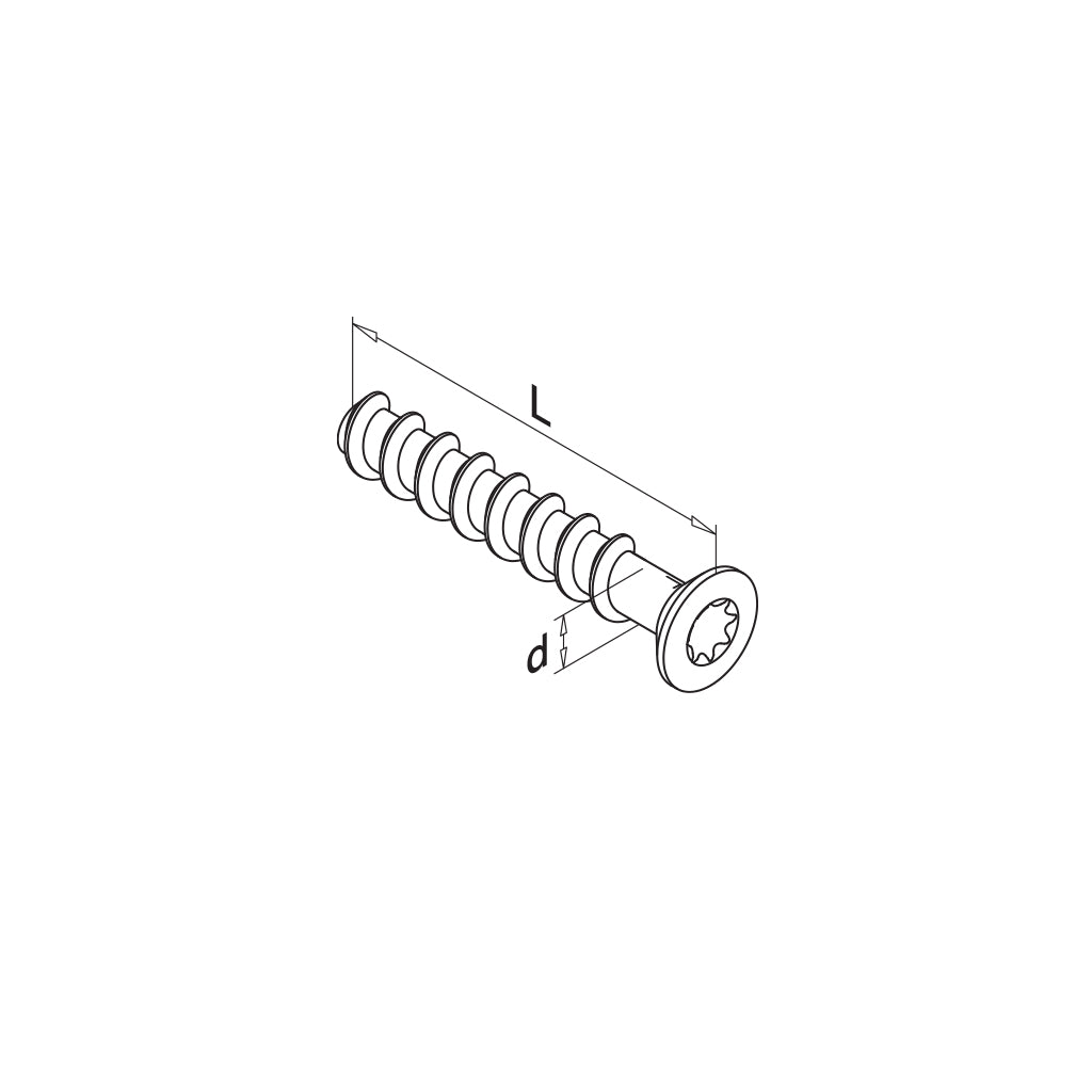 Q-railing betono varžtas BSZ-SK 10 MOD 4300 cinkuotas, M10 x 100 mm, QS-571